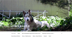 Desktop Screenshot of cyberrally-o.com